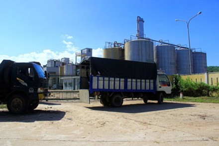 Dai Tan Ethanol Plant in the central province of Quang Nam (Photo: Laodong) Dai Tan Ethanol Plant in the central province of Quang Nam (Photo: Laodong)